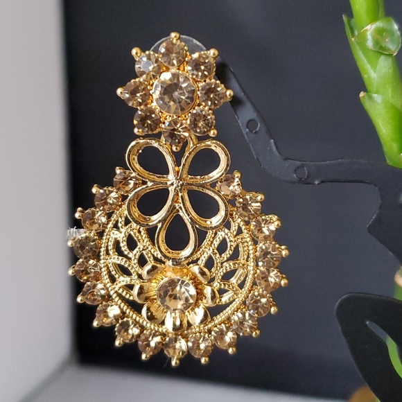 Fancy Earring - Picture 2 of 2